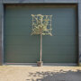 Steeneik leiboom stamomtrek 4-6 cm + stamhoogte 150 cm